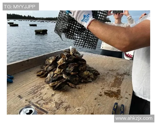 吉蠢呵蛎餍的奇妙旅程探寻美食背后的故事与文化 吉蠢呵蛎餍的奇妙旅程探寻美食背后的故事与文化